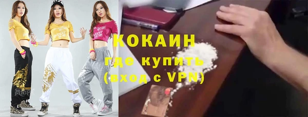 крисы Богородск