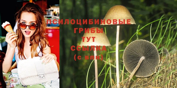PSILOCYBIN Беломорск