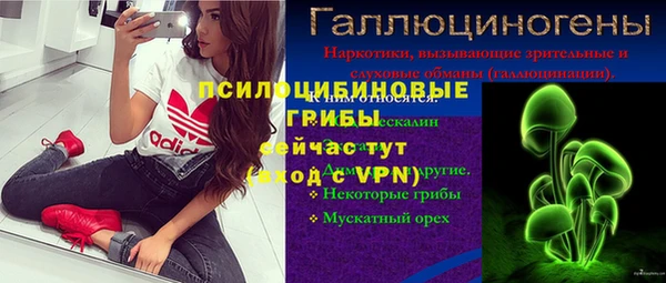 PSILOCYBIN Беломорск
