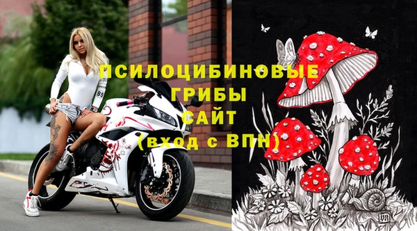 PSILOCYBIN Беломорск