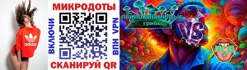 Псилоцибиновые грибы мицелий Бор