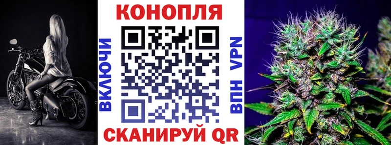 Бошки Шишки VHQ  где продают   Бор 